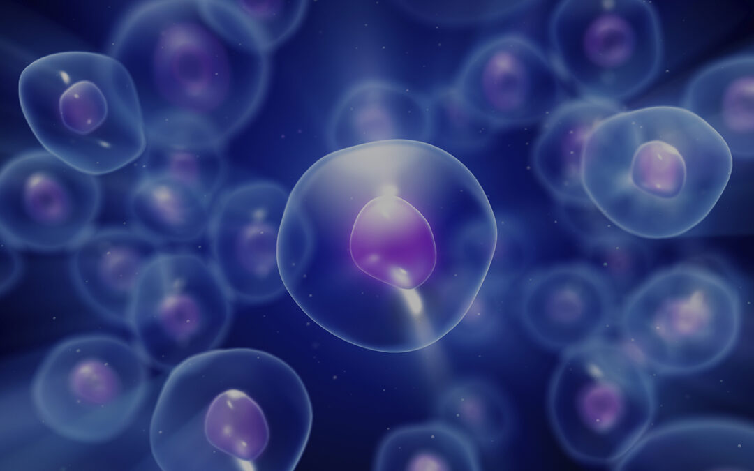 Human Pluripotent Stem Cells: ESCs, iPSCs, or NT-ESCs—Is One Better?