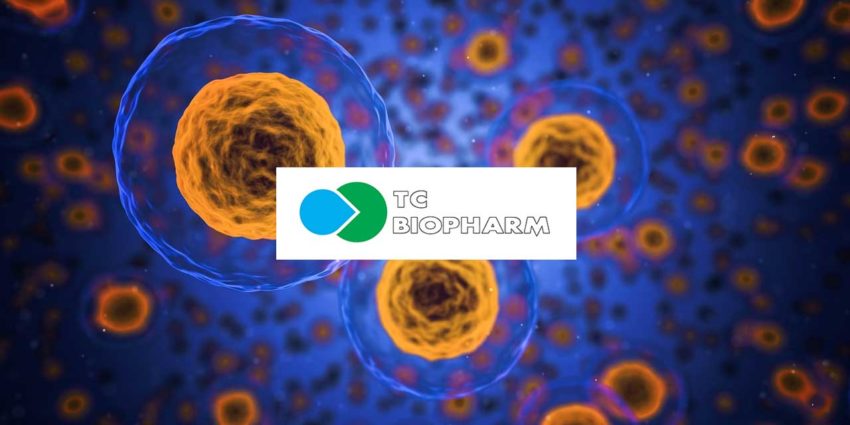 TC BioPharm Creates Allogeneic Cell Banks For CAR-T Cancer Therapy ...