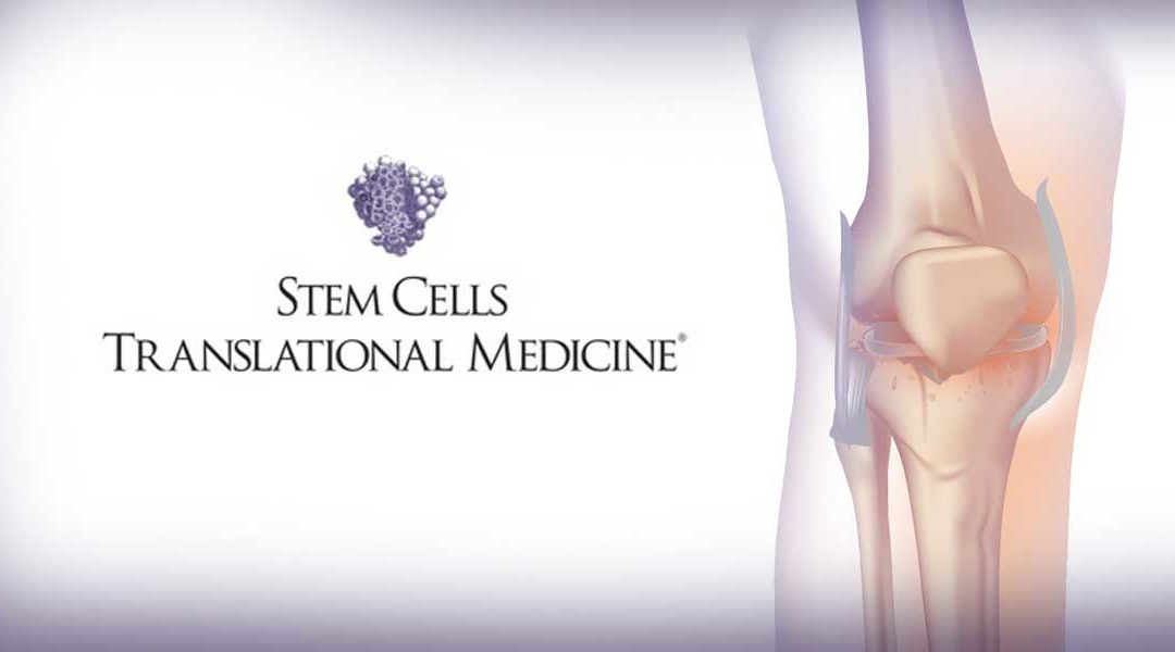 Clinical Trial Shows Promise of Stem Cells in Offering Safe, Effective Relief from Arthritic Knees