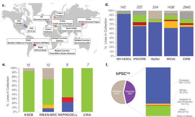 Greater genetic diversity is needed in human pluripotent stem cell models