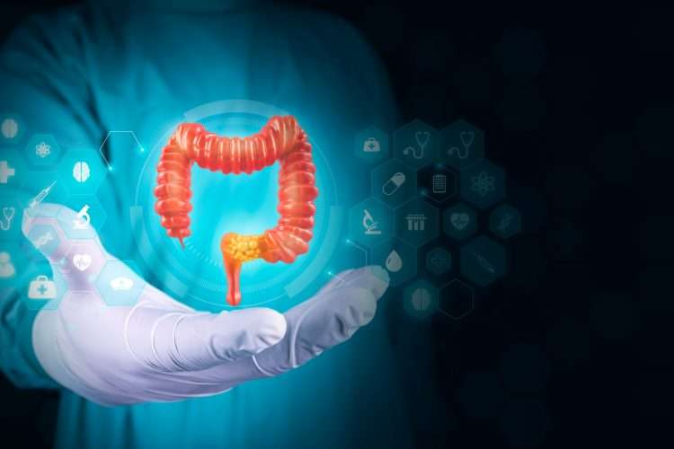 Damaged small intestine repaired with hPSC-derived organoids