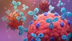 shutterstock_2553224675-750×500