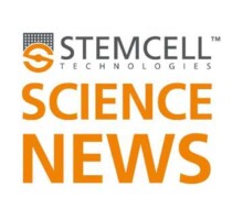 Stemcell Technologies Science News Stemcell Technologies Science News