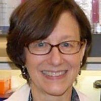 Marie Csete, MD, PhD