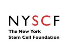 New York Stem Cell Foundation New York Stem Cell Foundation