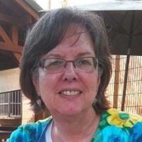 Terri A. Lewis, PhD