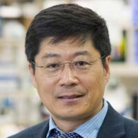 Guojun Bu, PhD