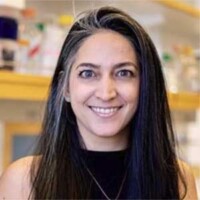 Shiri Gur-Cohen, PhD